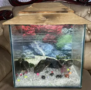 Aquarium with 4 turtles