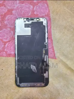 Apple iPhone 12 Display