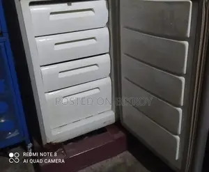 ফ্রিজ নতুন এর মতো