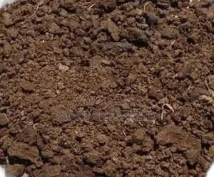 ১০০% খাঁটি গরুর গোবর সার – ফলন বাড়াতে আজই অর্ডার করুন!