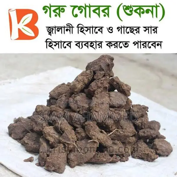 ১০০% খাঁটি গরুর গোবর সার – ফলন বাড়াতে আজই অর্ডার করুন!