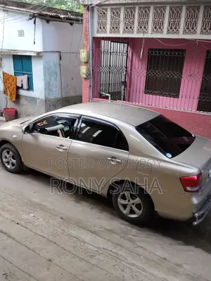 Toyota Axio 2008 Gold