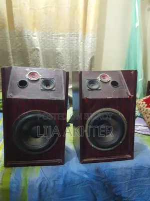অ্যাম্প ও স্পিকার