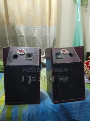 অ্যাম্প ও স্পিকার