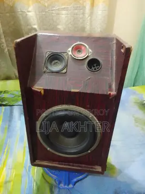 অ্যাম্প ও স্পিকার