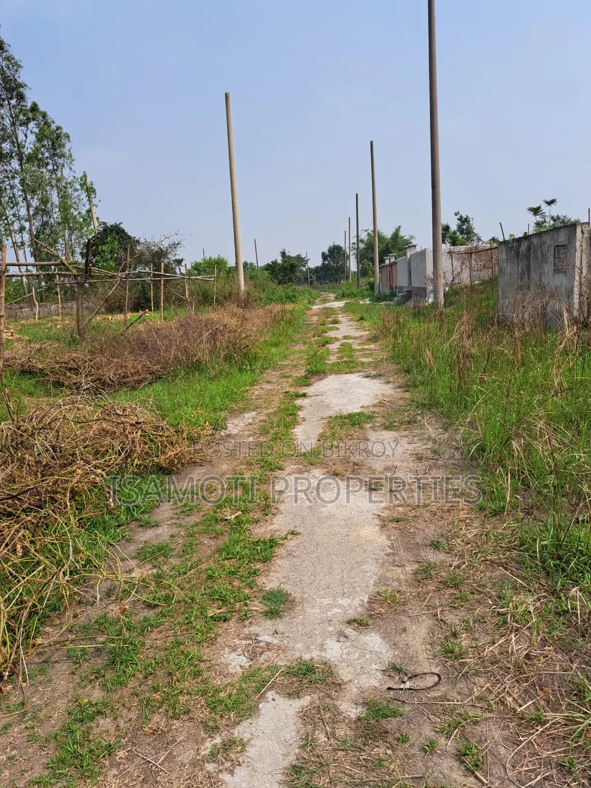 East-Facing 3 Katha Plot for Sale, Sector 22