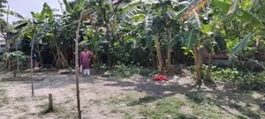 5.5 Katha residential land behind Tongi BSCIC Industrial Area