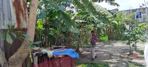 5.5 Katha residential land behind Tongi BSCIC Industrial Area