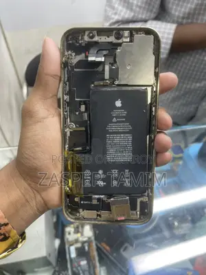 Apple iPhone 12 Pro Max Body