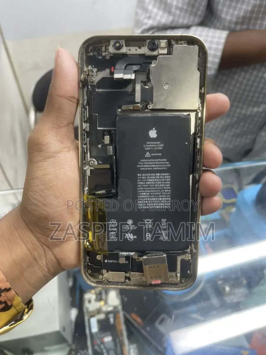 Apple iPhone 12 Pro Max Body