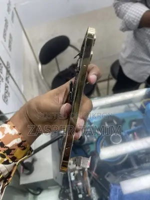 Apple iPhone 12 Pro Max Body