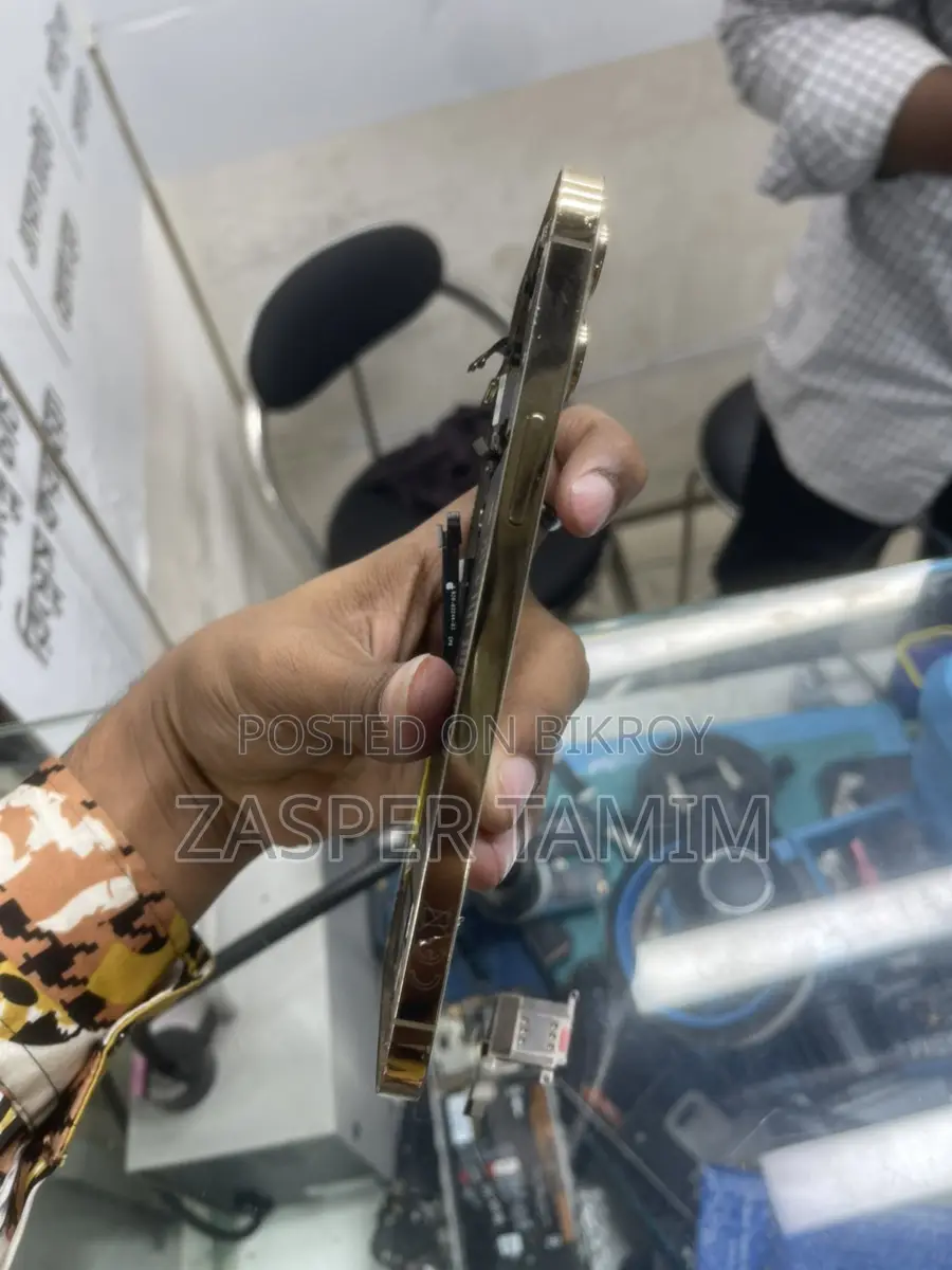 Apple iPhone 12 Pro Max Body