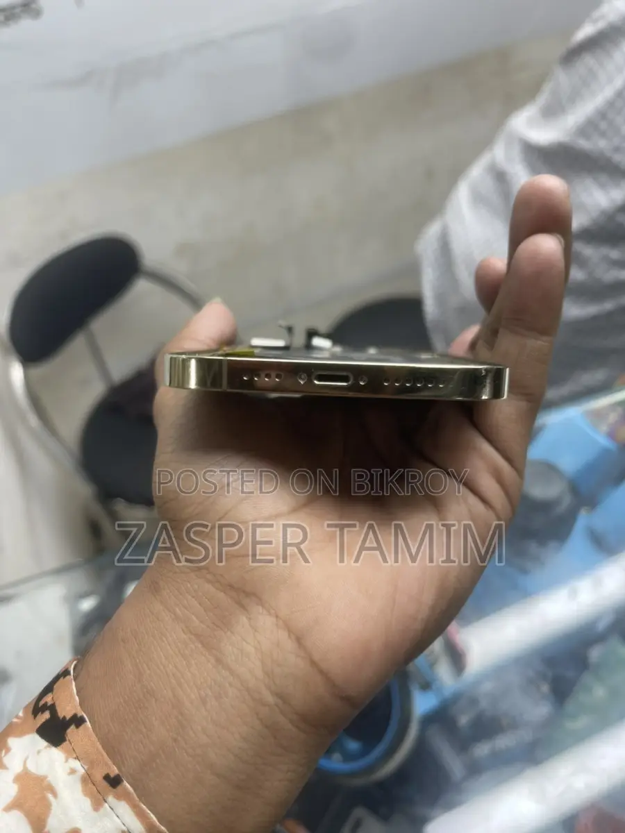 Apple iPhone 12 Pro Max Body