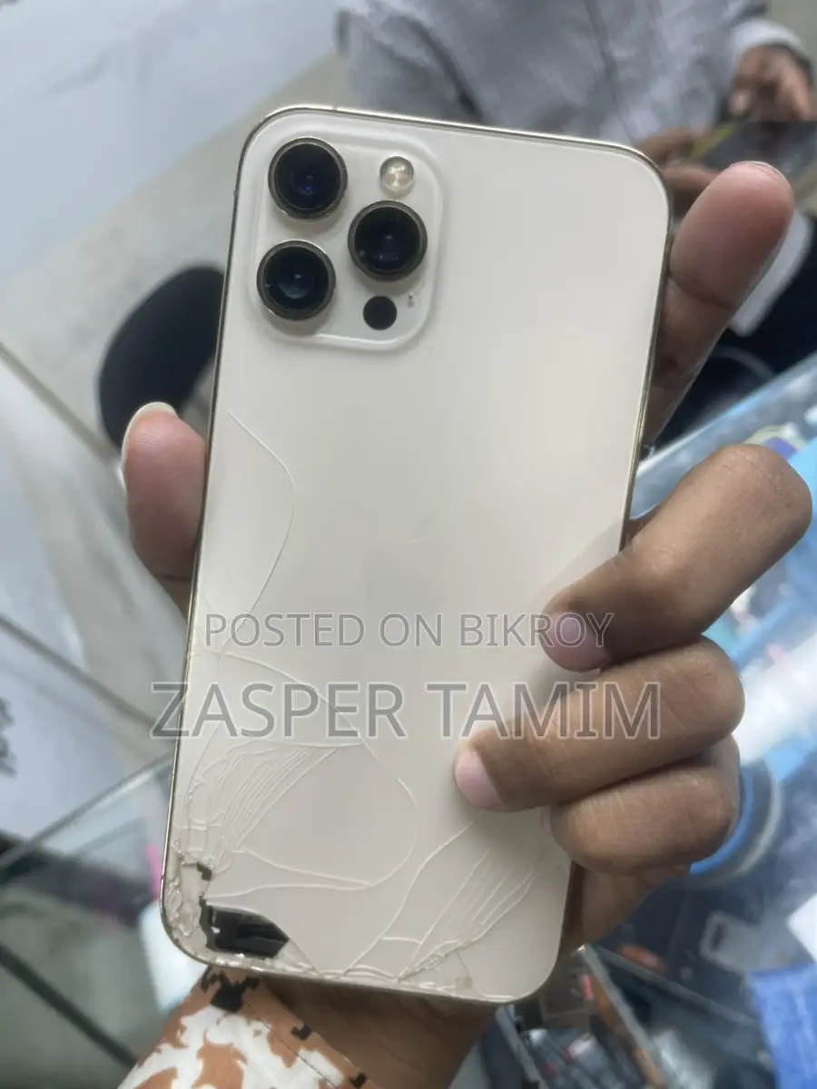 Apple iPhone 12 Pro Max Body