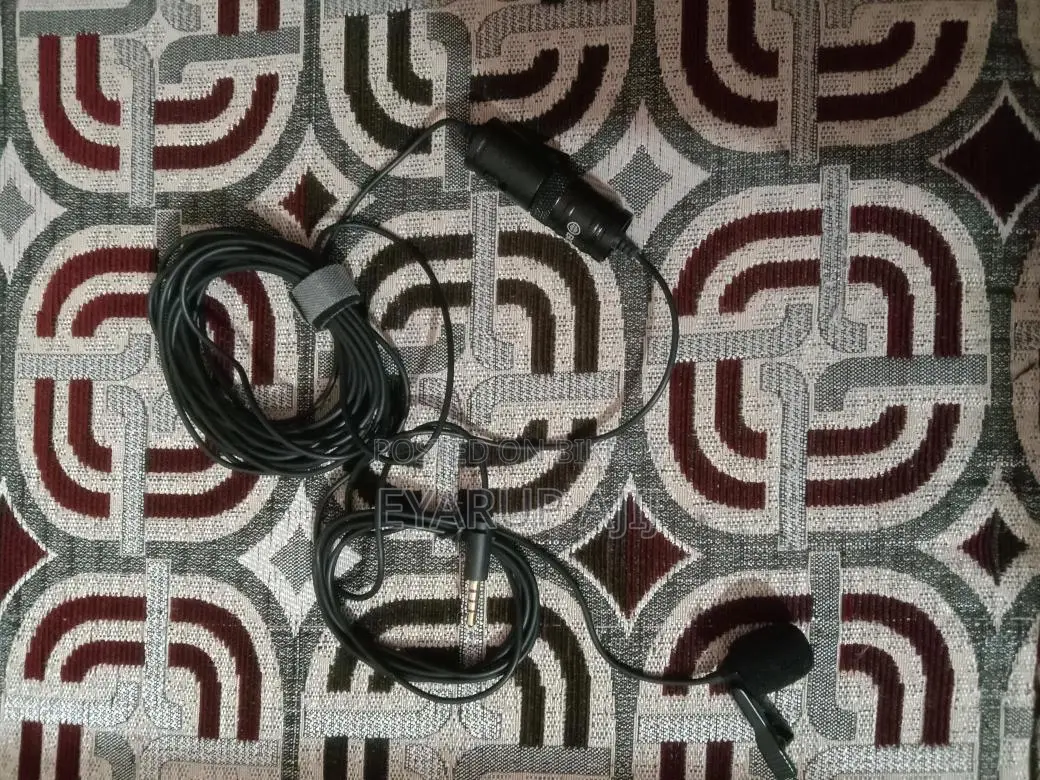 Microphone