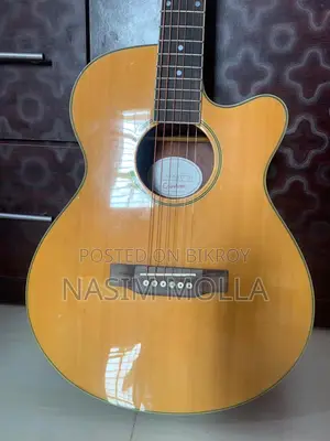 Guitar for Sale
