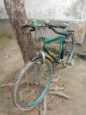Ranger Max 2nd Cycle