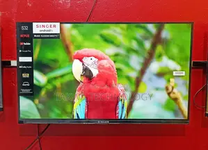 SINGER-32" Inch Google Frameless Voice Control TV