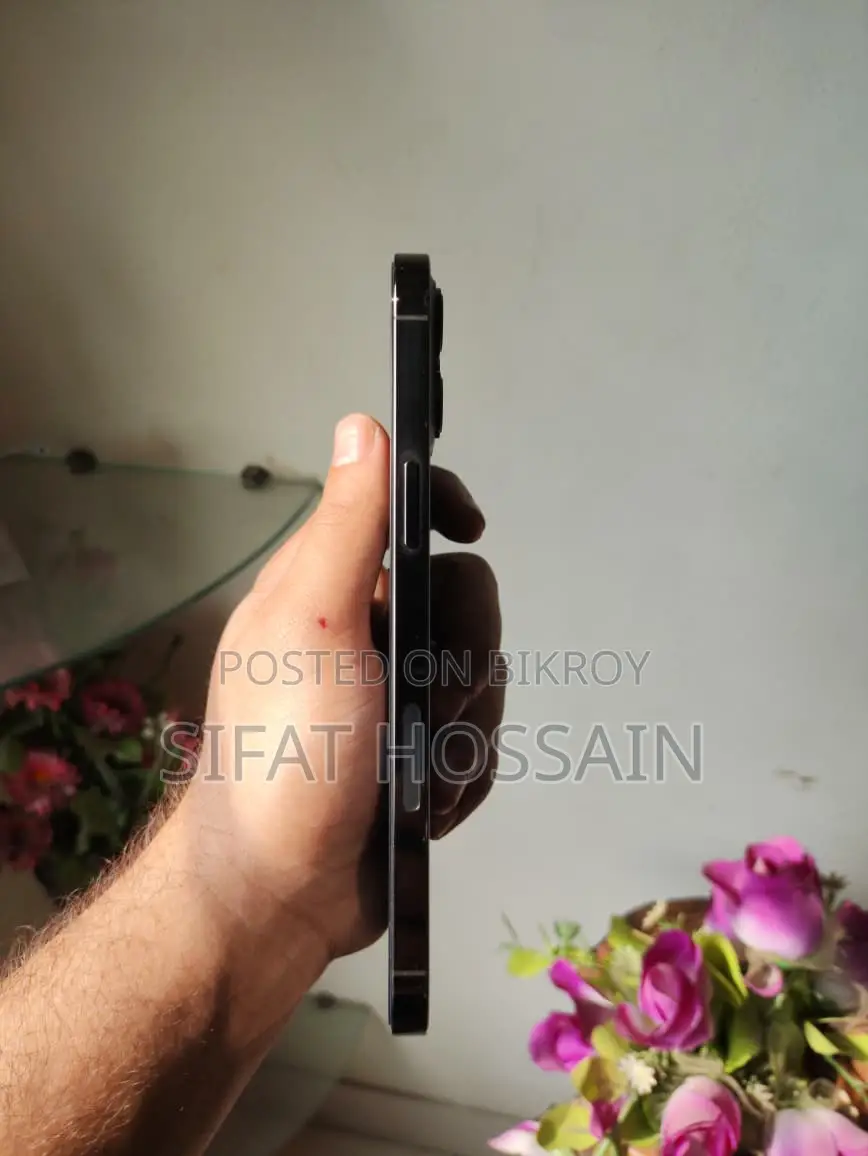 Apple iPhone 12 Pro Max . (Used)