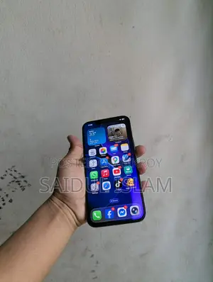 Apple iPhone 12 Pro Max 256 (Used)