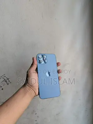 Apple iPhone 12 Pro Max 256 (Used)