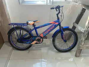 Phonix Cycle