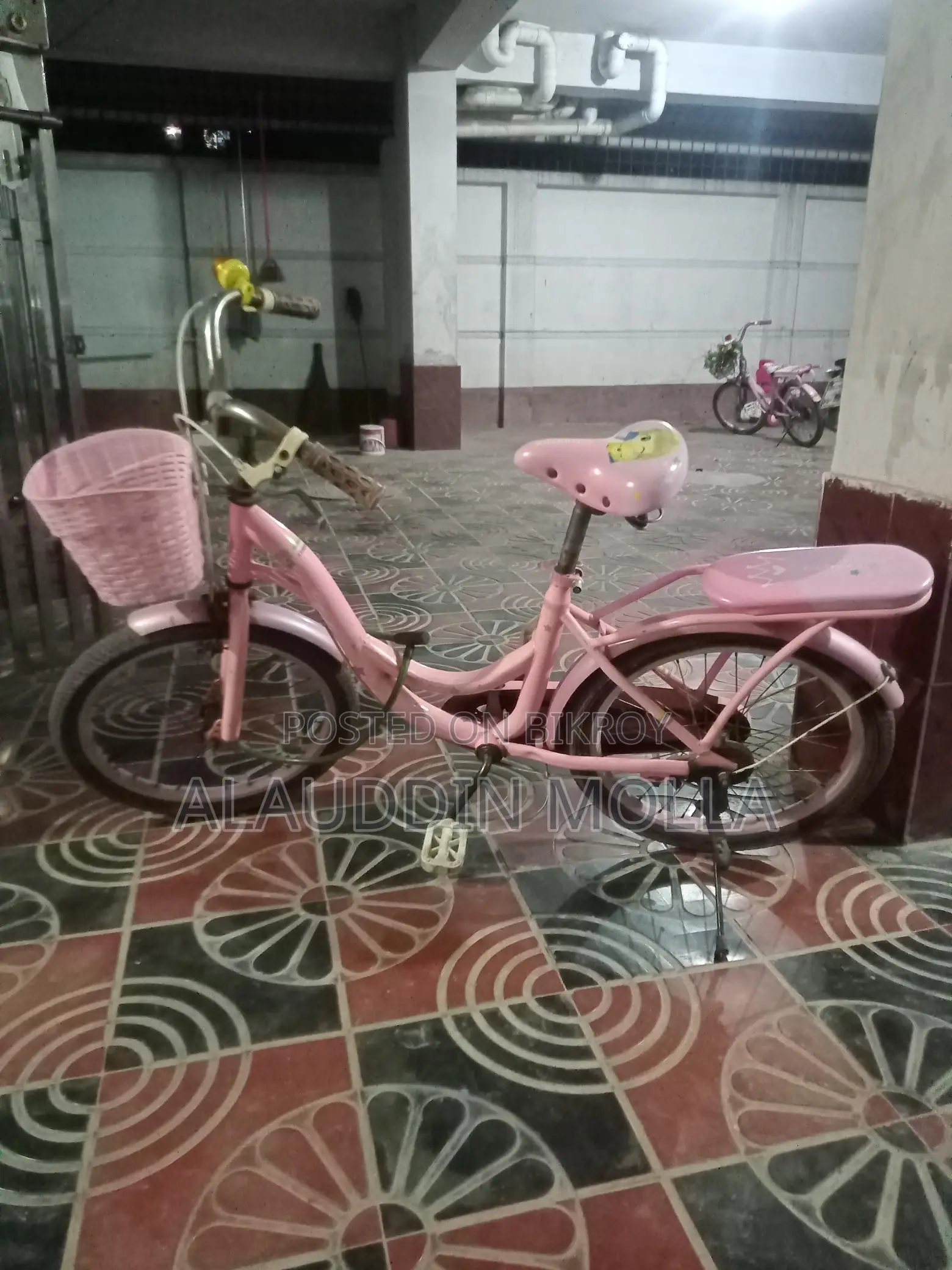 Bicycle (for kids). Brand new.