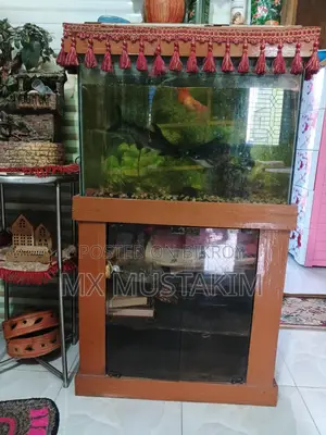 অ্যাকুরিয়াম বিক্রয় হবে
