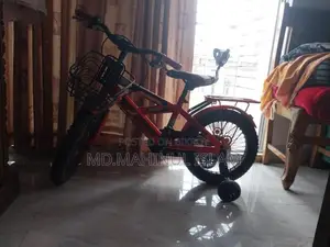 Phoenix বাচ্চাদের সাইকেল (৪ চাকার)