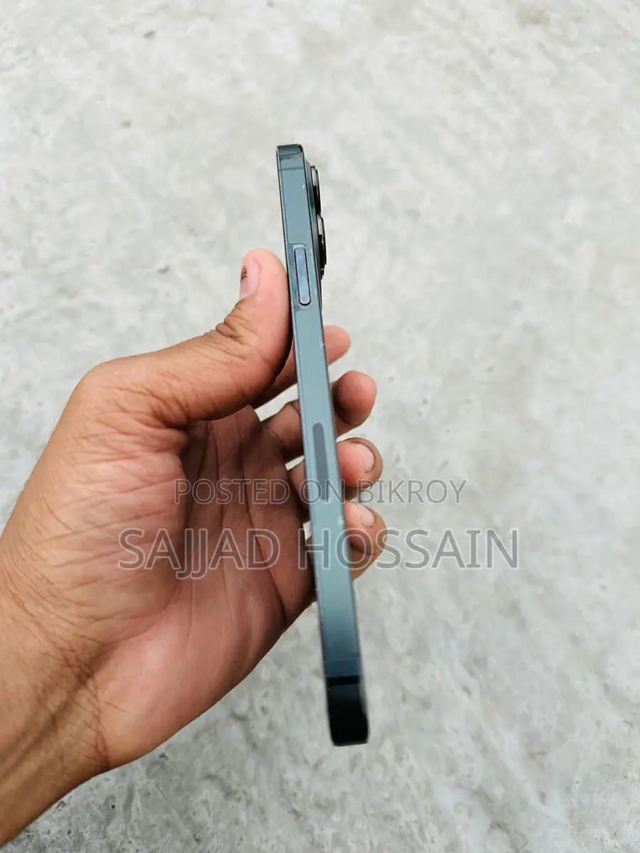 Apple iPhone 13 Pro Max (Used)