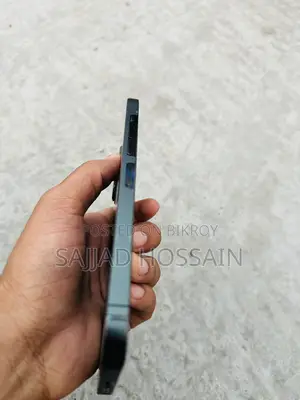 Apple iPhone 13 Pro Max (Used)