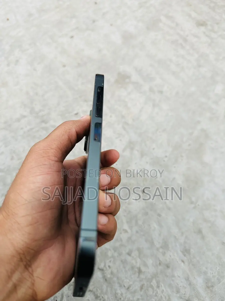 Apple iPhone 13 Pro Max (Used)