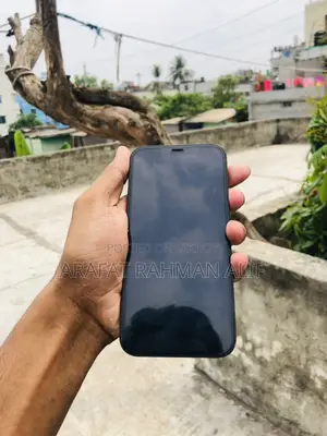 Apple iPhone 12 (Used)