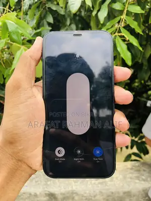 Apple iPhone 12 (Used)
