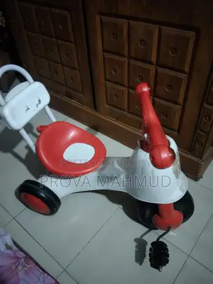 বাচ্চাদের সাইকেল (৩ চাকার)