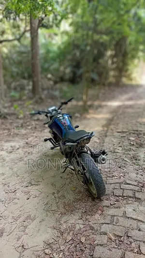 Yamaha FZS 2003