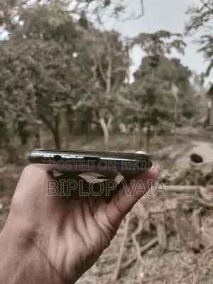 Vivo V21e (Used)