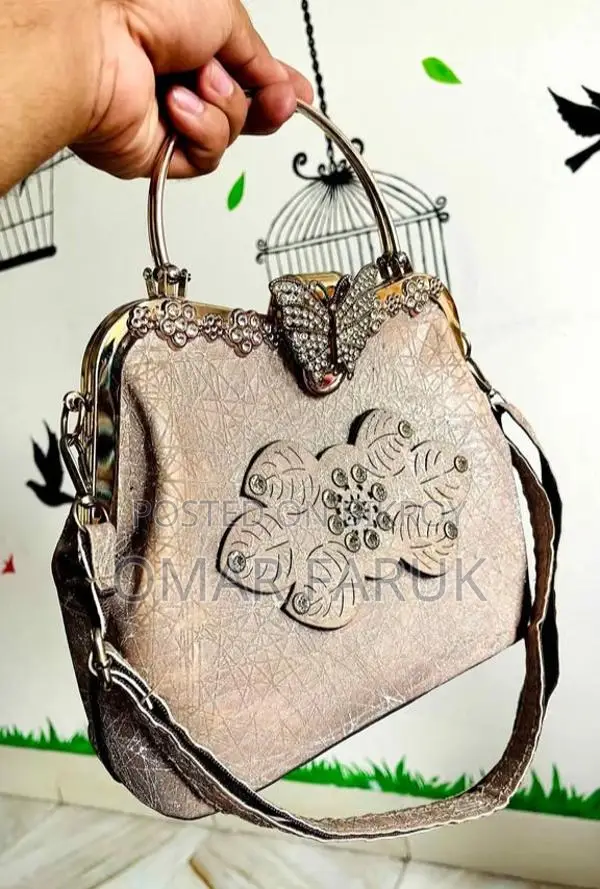 Party Hand Bag for Women