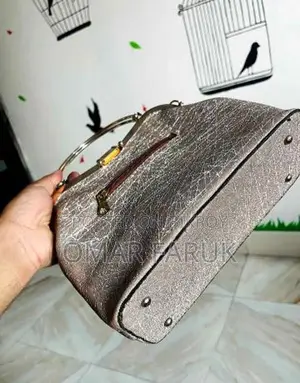 Party Hand Bag for Women