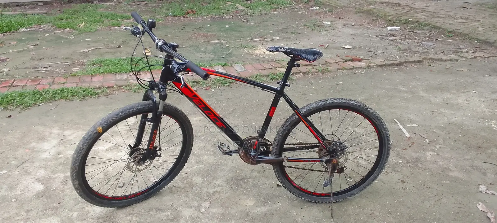 Veloce Bicycle for sale