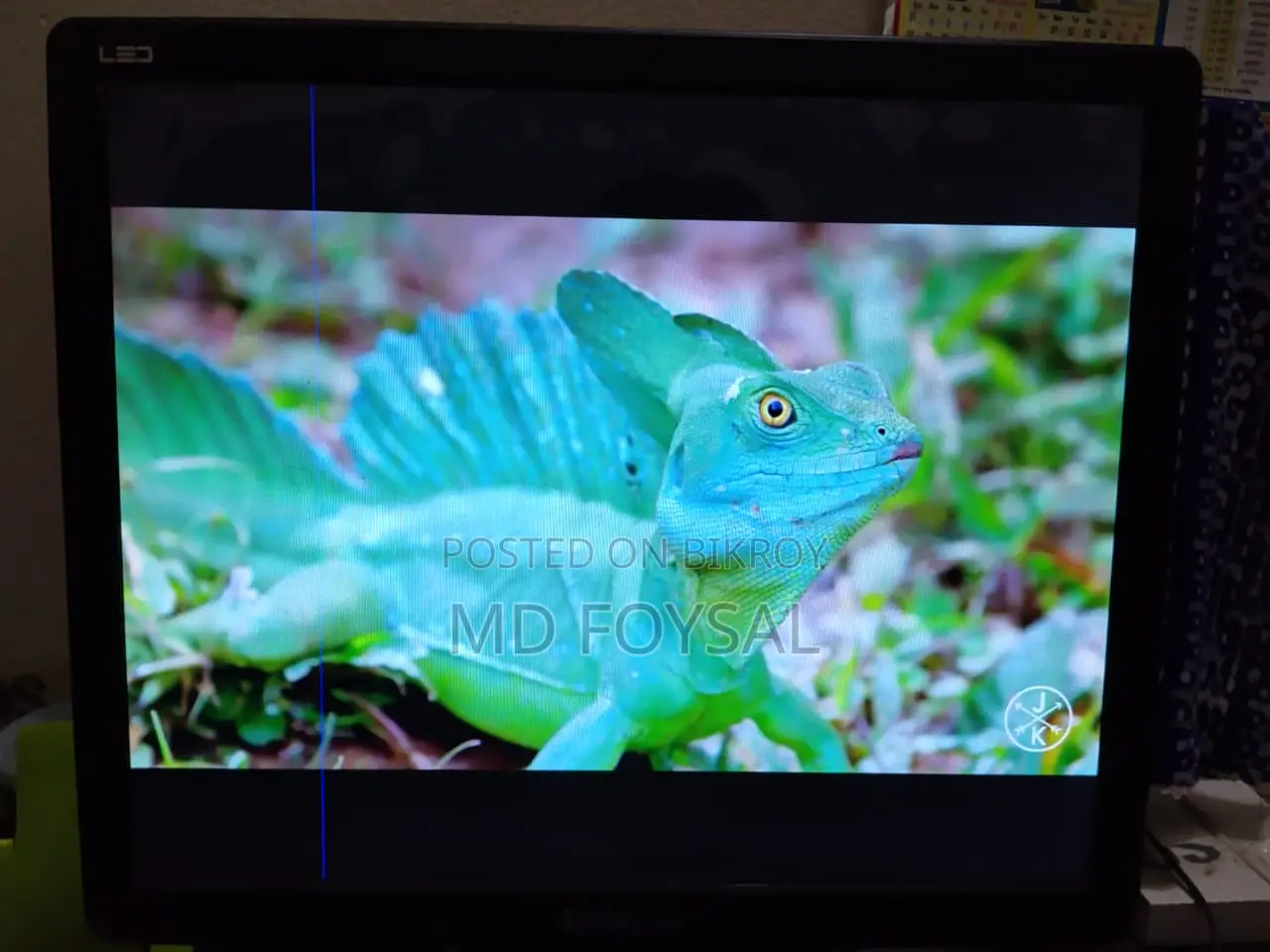 Samsung 17 Inch Monitor