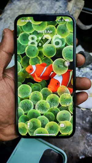 Apple iPhone 13 (Used)