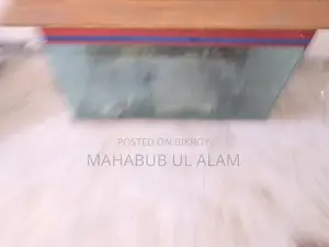 Fish Aquarium