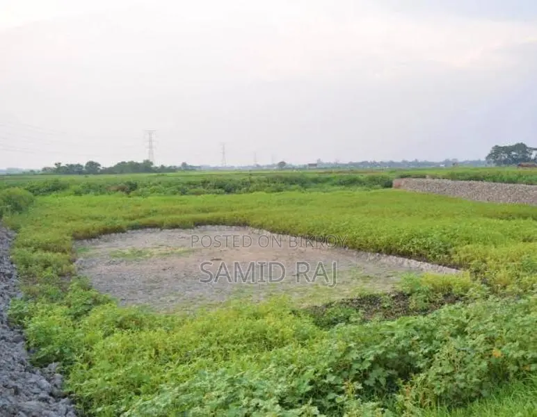 Clear Title Agricultural Land for Sale