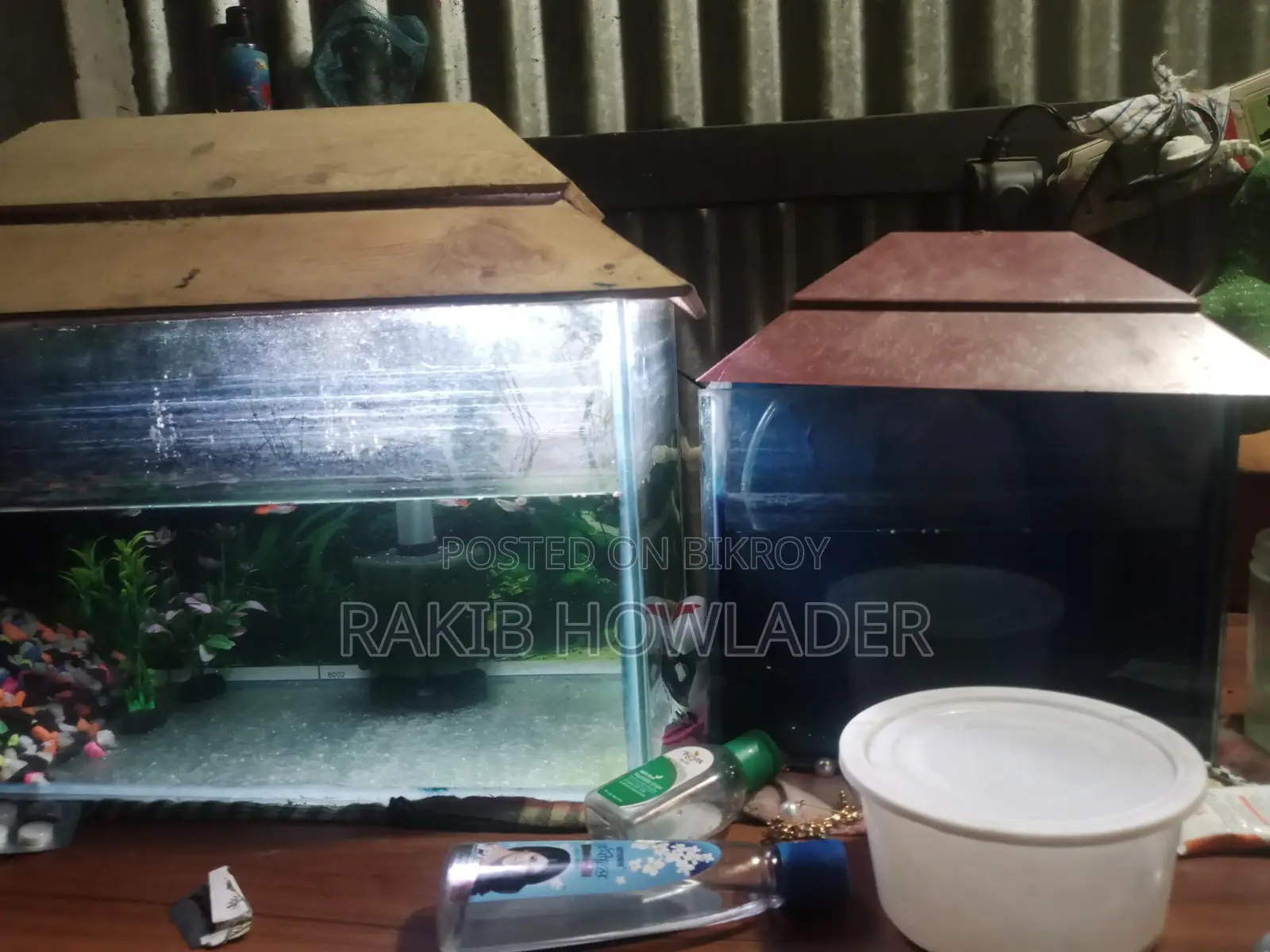 2 Aquariums