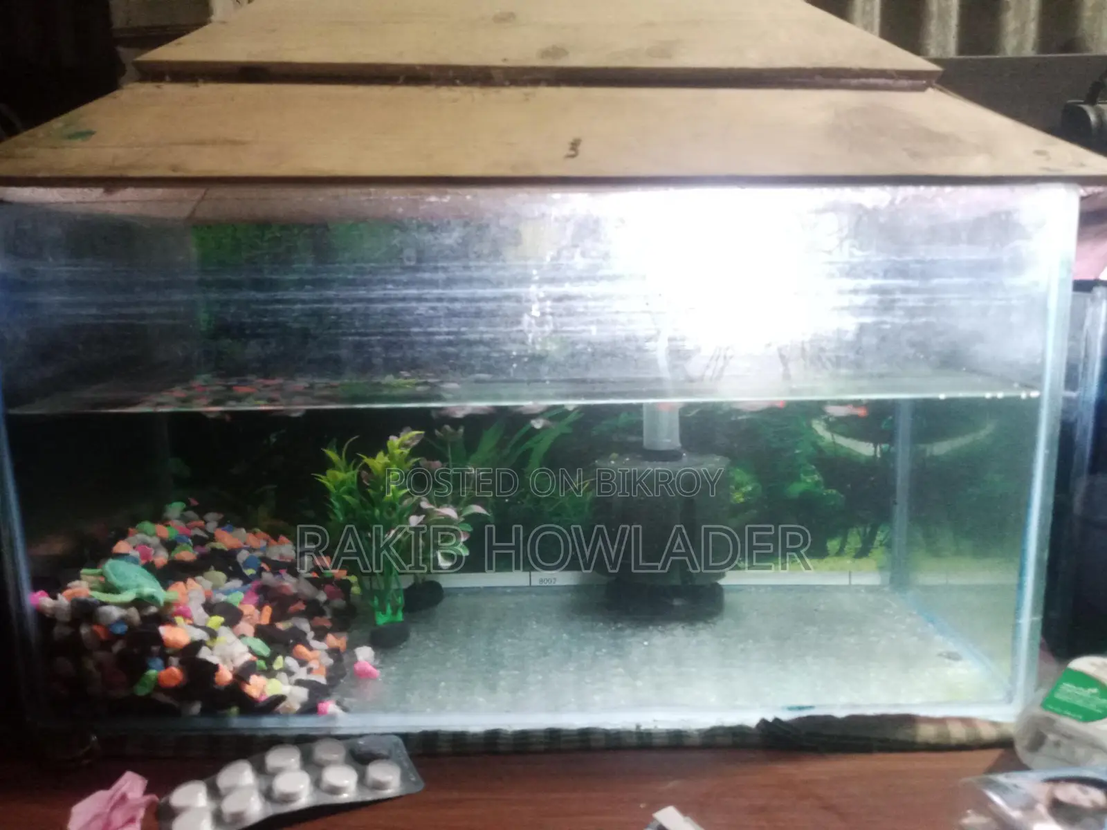 2 Aquariums