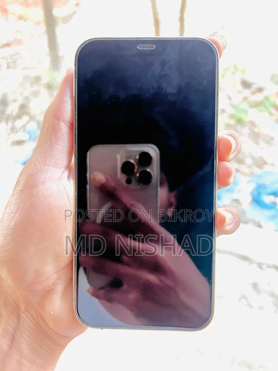 Apple iPhone 12 Pro (Used)