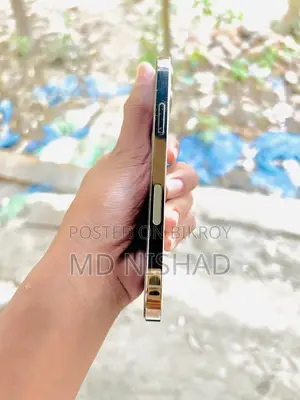 Apple iPhone 12 Pro (Used)