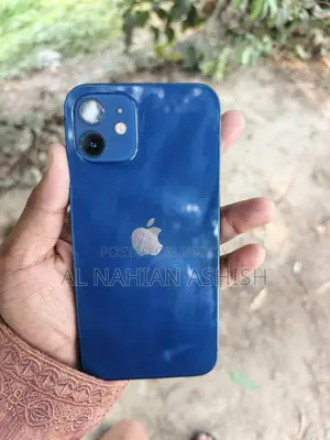 Apple iPhone 12 (Used)