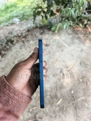 Apple iPhone 12 (Used)